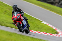 Oulton-Park-21st-March-2020;PJ-Motorsport-Photography-2020;anglesey;brands-hatch;cadwell-park;croft;donington-park;enduro-digital-images;event-digital-images;eventdigitalimages;mallory;no-limits;oulton-park;peter-wileman-photography;racing-digital-images;silverstone;snetterton;trackday-digital-images;trackday-photos;vmcc-banbury-run;welsh-2-day-enduro